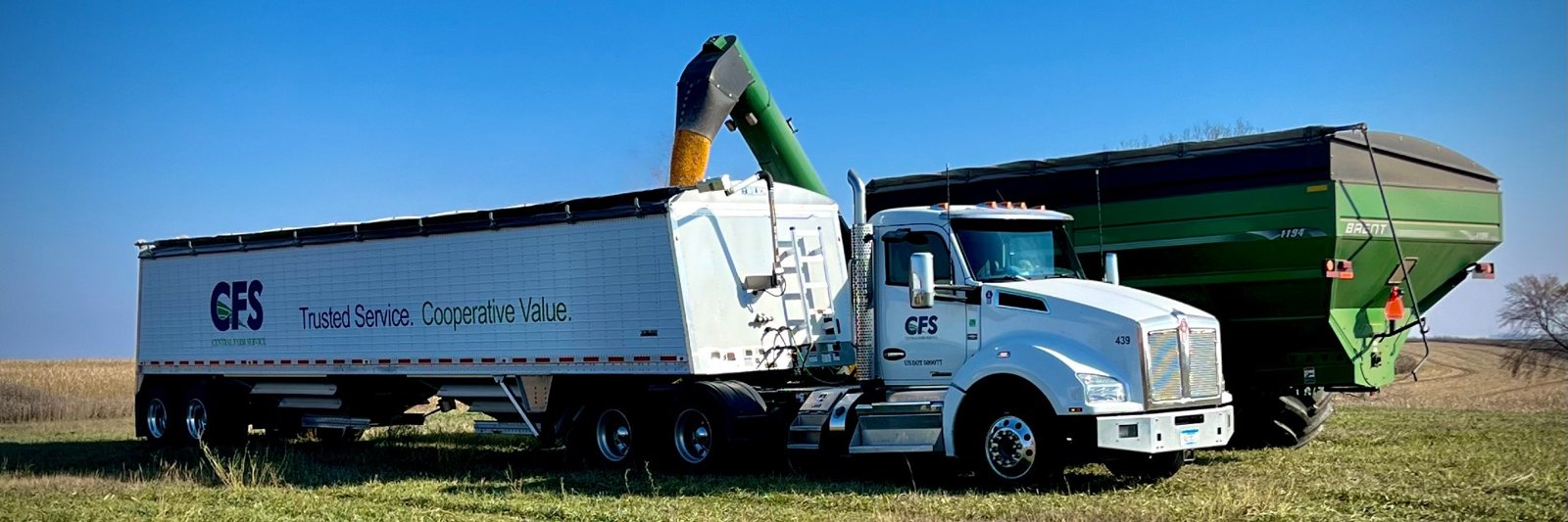 Central Farm Service, 44125 MN-56: photo 5