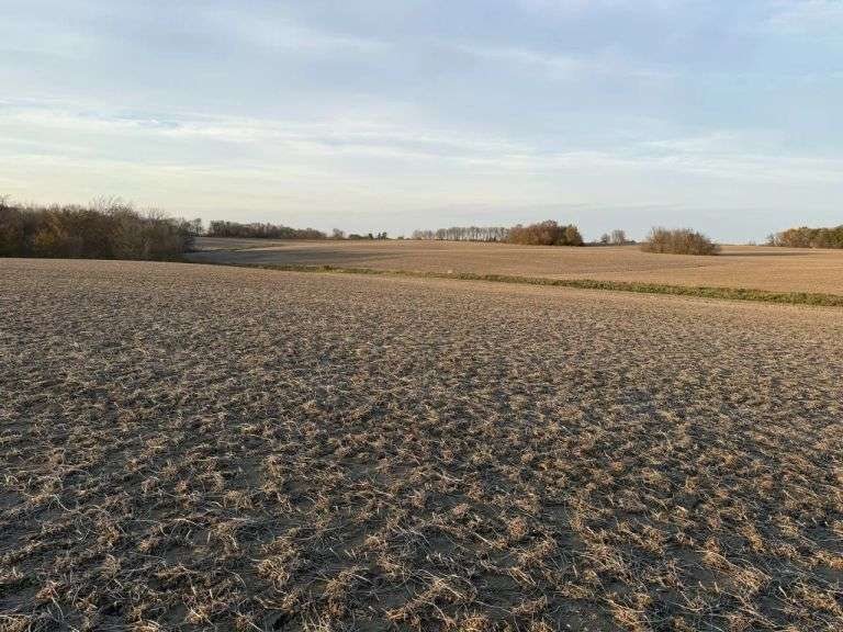 Hamilton-Maring Auction Group, 633 2nd St: photo 3