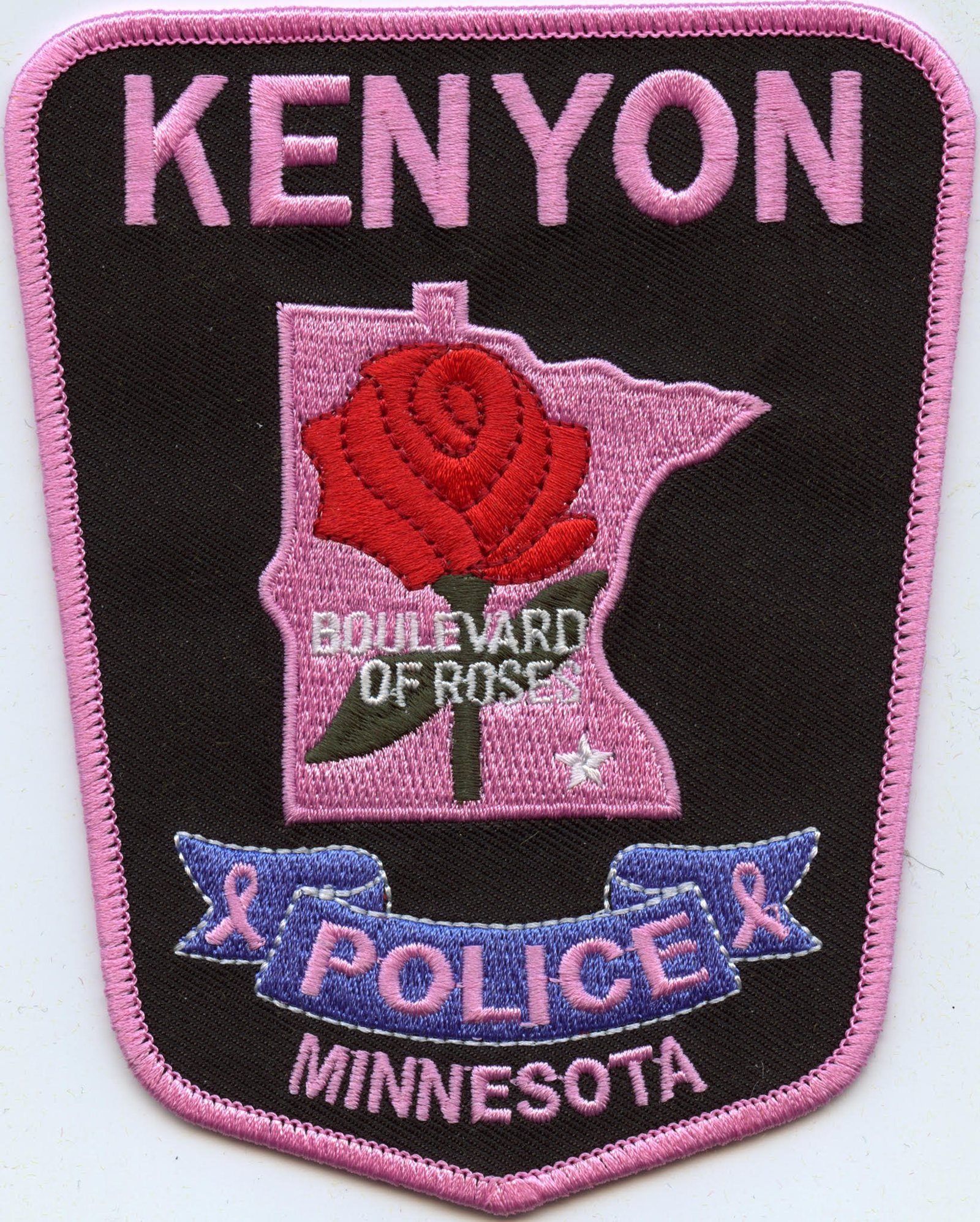 Kenyon Police Department, 719 Second Street: photo 2
