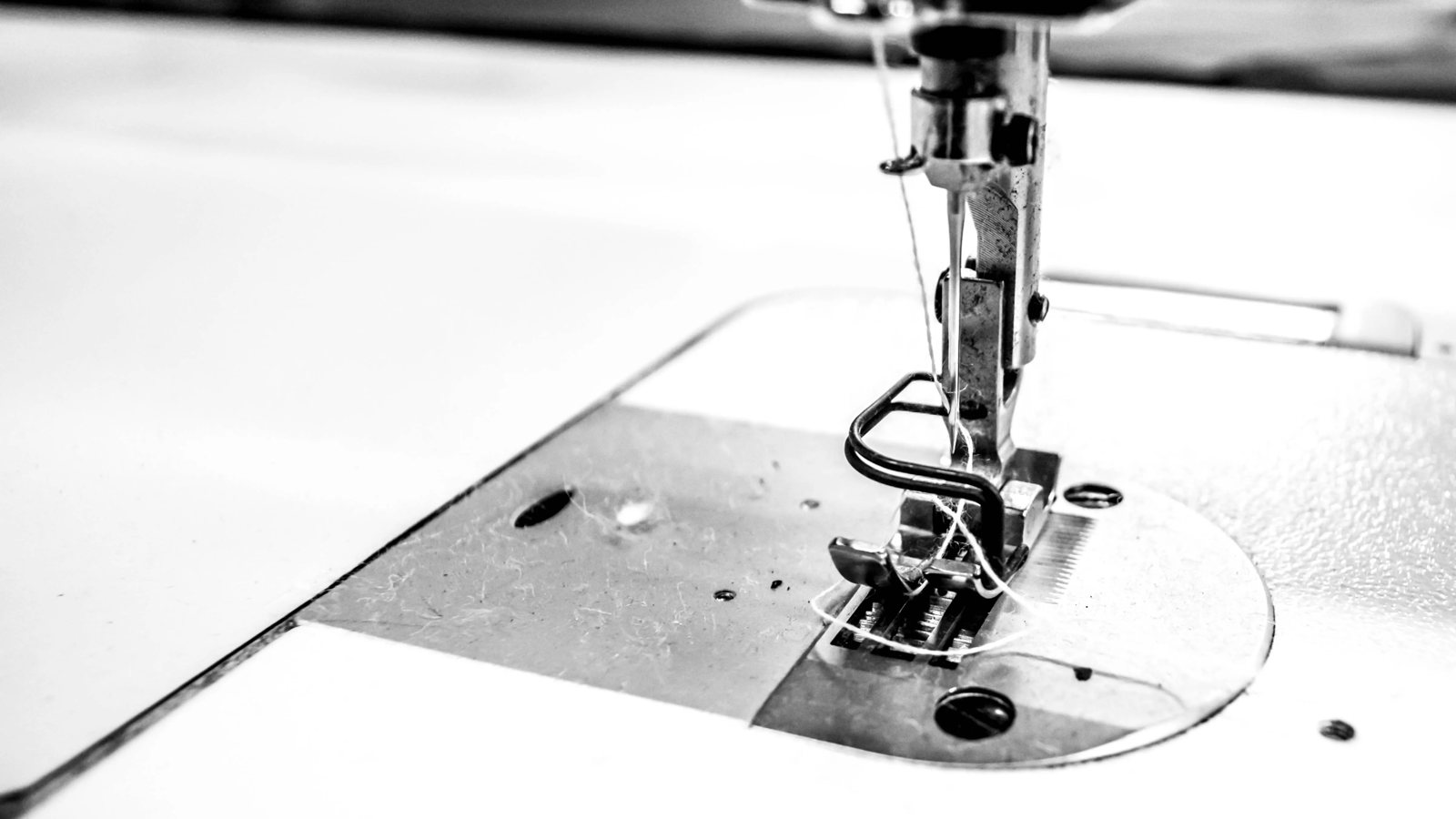 South State Bedding Company - Minnesota Mattress Factory, 10 Slee Street: photo 5