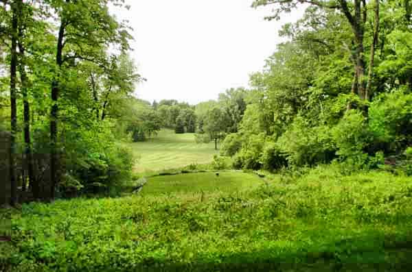 Hole 6 at Kenyon Country Club, par 3, 182 yards