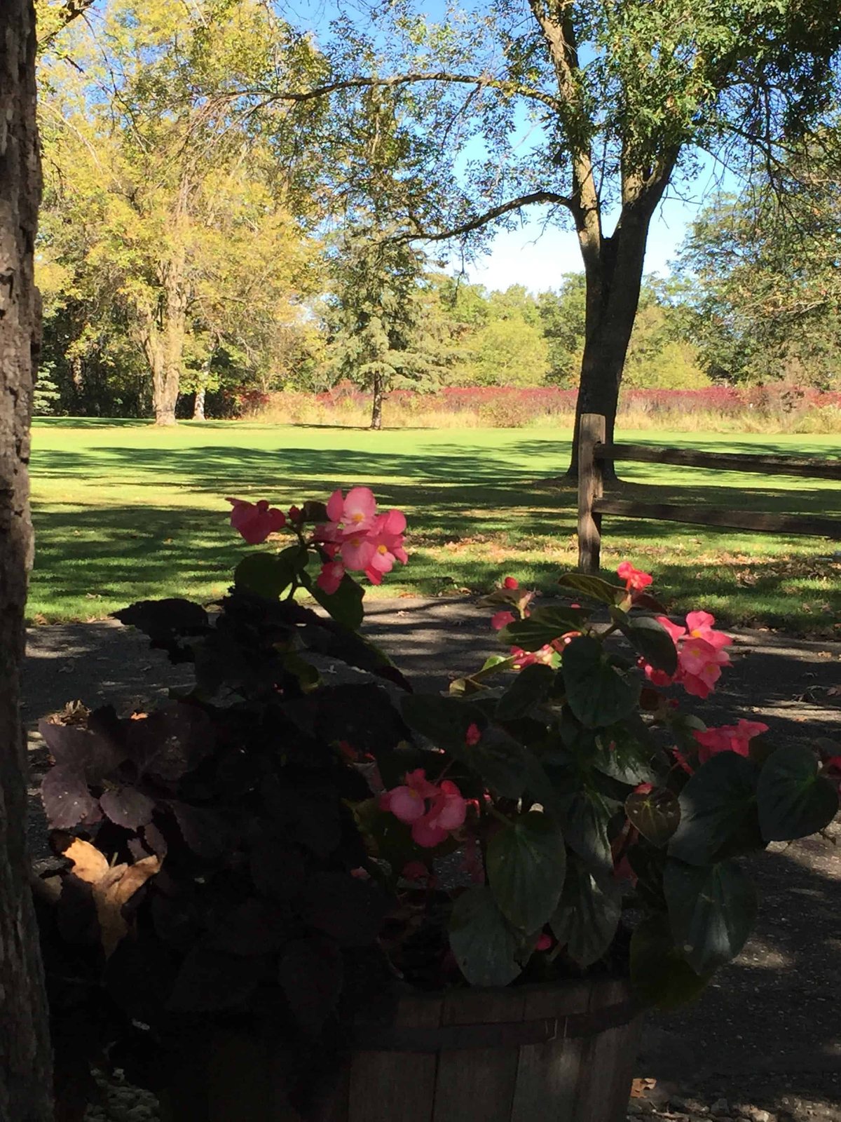 The patio and planters at the clubhouse