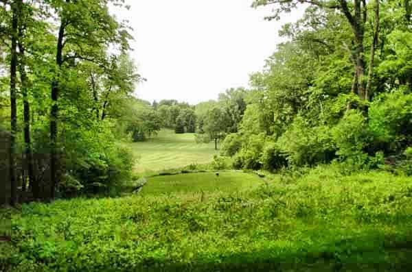 Hole 6